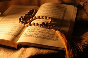 Kur'an Bilgisi